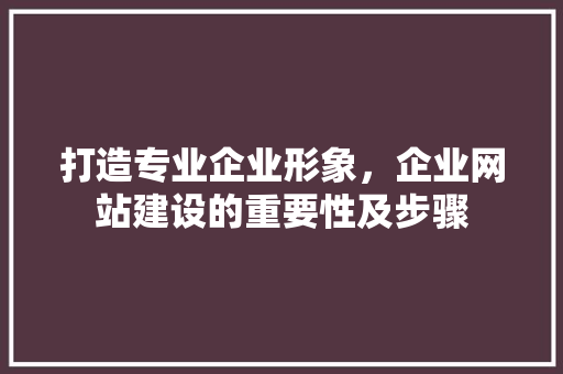 打造专业企业形象，企业网站建设的重要性及步骤