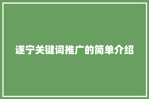 遂宁关键词推广的简单介绍