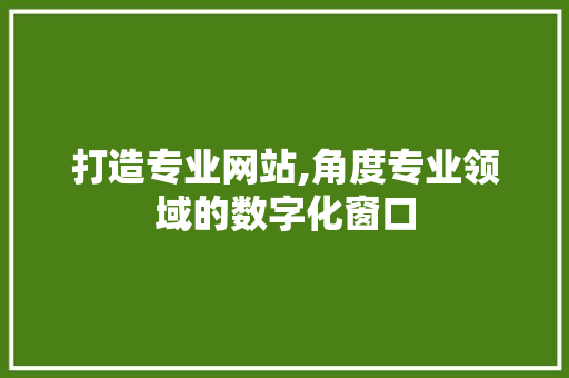 打造专业网站,角度专业领域的数字化窗口