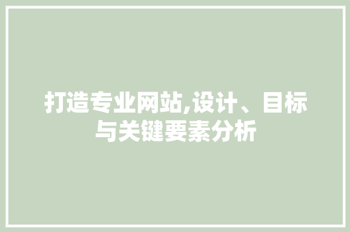打造专业网站,设计、目标与关键要素分析