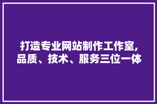 打造专业网站制作工作室,品质、技术、服务三位一体