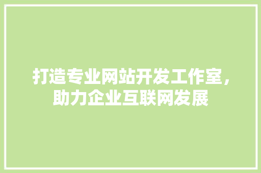 打造专业网站开发工作室，助力企业互联网发展