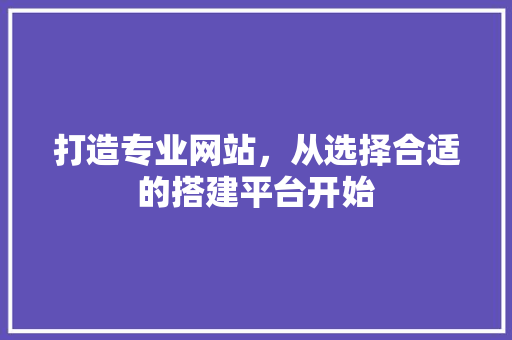 打造专业网站，从选择合适的搭建平台开始 打造专业网站，从选择合适的搭建平台开始 百度SEO