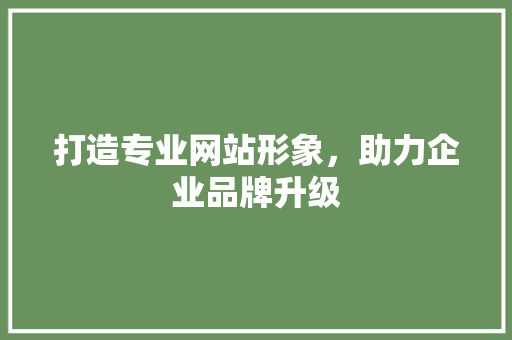 打造专业网站形象，助力企业品牌升级