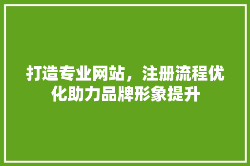 打造专业网站，注册流程优化助力品牌形象提升