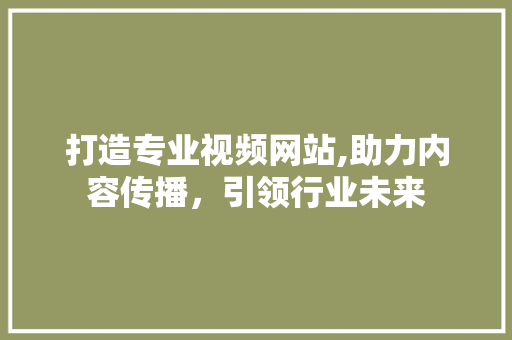 打造专业视频网站,助力内容传播，引领行业未来
