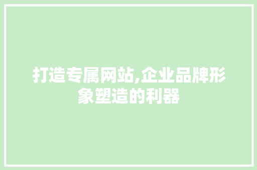 打造专属网站,企业品牌形象塑造的利器