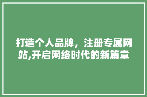 打造个人品牌，注册专属网站,开启网络时代的新篇章
