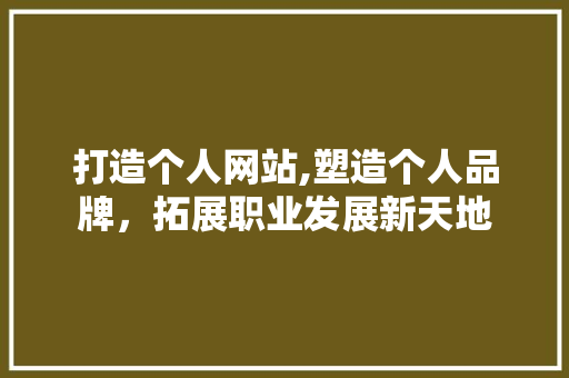 打造个人网站,塑造个人品牌，拓展职业发展新天地
