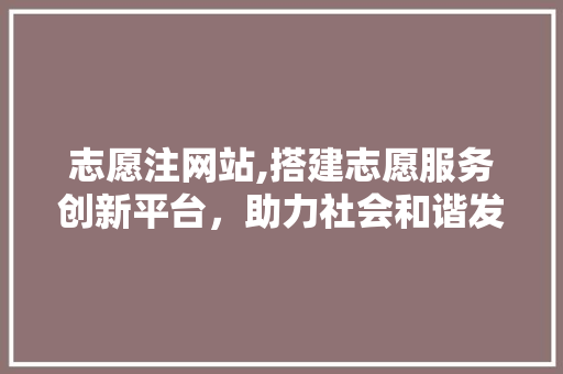 志愿注网站,搭建志愿服务创新平台，助力社会和谐发展 志愿注网站,搭建志愿服务创新平台，助力社会和谐发展 网站建设公司