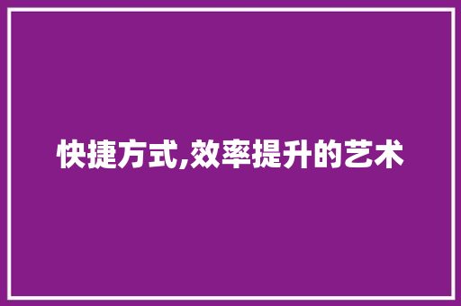 快捷方式,效率提升的艺术