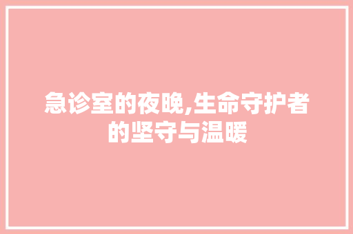 急诊室的夜晚,生命守护者的坚守与温暖 急诊室的夜晚,生命守护者的坚守与温暖 必应SEO