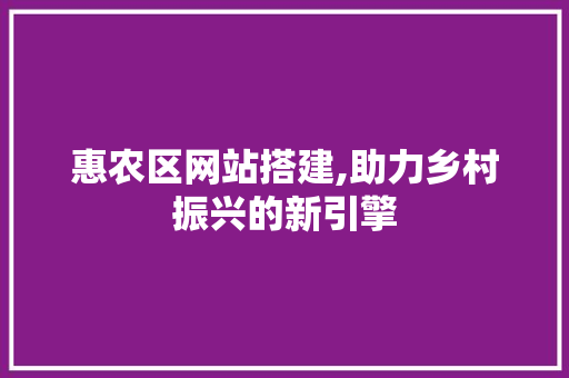 惠农区网站搭建,助力乡村振兴的新引擎 惠农区网站搭建,助力乡村振兴的新引擎 必应SEO
