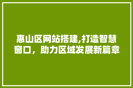 惠山区网站搭建,打造智慧窗口，助力区域发展新篇章 惠山区网站搭建,打造智慧窗口，助力区域发展新篇章 搜狗SEO