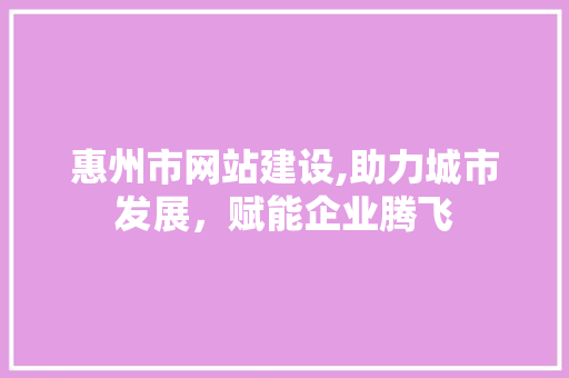 惠州市网站建设,助力城市发展，赋能企业腾飞 惠州市网站建设,助力城市发展，赋能企业腾飞 网站建设公司