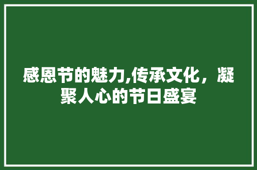 感恩节的魅力,传承文化，凝聚人心的节日盛宴 感恩节的魅力,传承文化，凝聚人心的节日盛宴 搜狗SEO