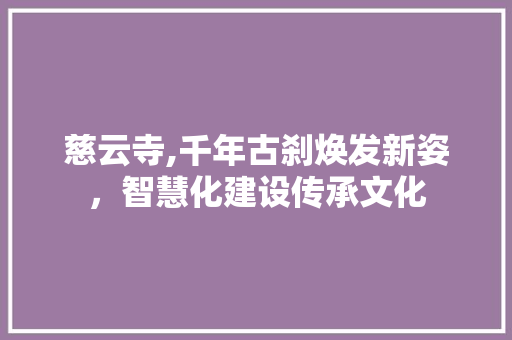慈云寺,千年古刹焕发新姿，智慧化建设传承文化