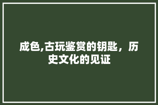 成色,古玩鉴赏的钥匙，历史文化的见证