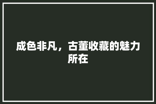 成色非凡，古董收藏的魅力所在 成色非凡，古董收藏的魅力所在 必应SEO