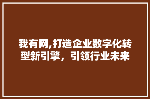 我有网,打造企业数字化转型新引擎，引领行业未来 我有网,打造企业数字化转型新引擎，引领行业未来 神马SEO