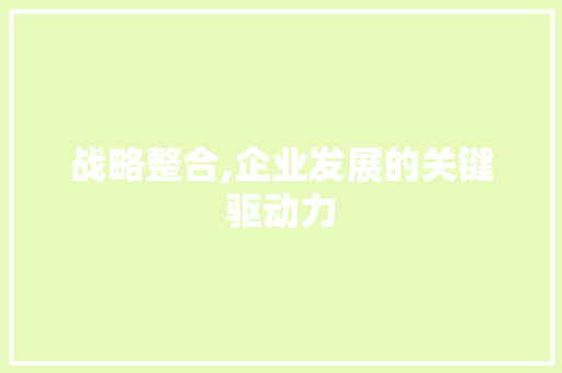 战略整合,企业发展的关键驱动力 战略整合,企业发展的关键驱动力 神马SEO