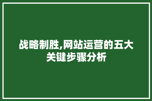 战略制胜,网站运营的五大关键步骤分析