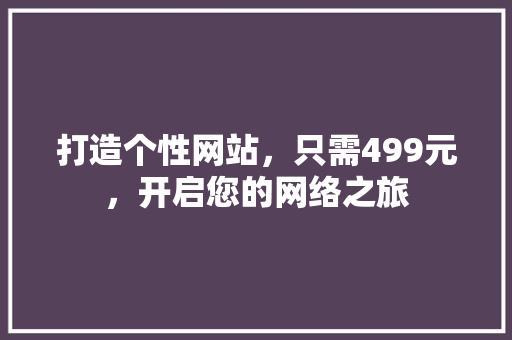 打造个性网站，只需499元，开启您的网络之旅