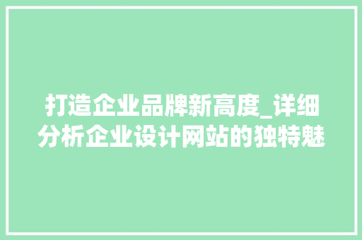 打造企业品牌新高度_详细分析企业设计网站的独特魅力