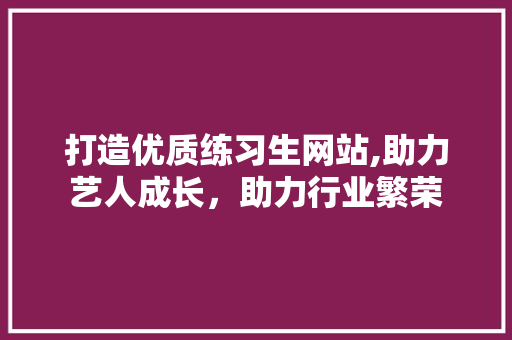 打造优质练习生网站,助力艺人成长，助力行业繁荣