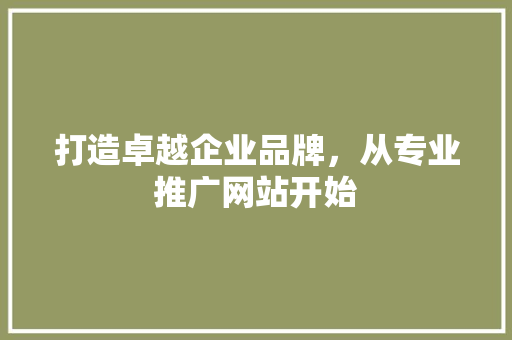 打造卓越企业品牌，从专业推广网站开始