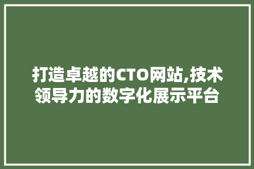 打造卓越的CTO网站,技术领导力的数字化展示平台 打造卓越的CTO网站,技术领导力的数字化展示平台 百度SEO
