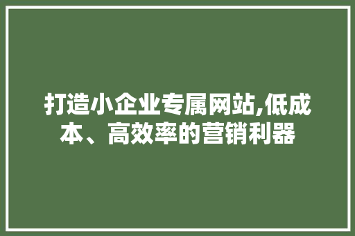 打造小企业专属网站,低成本、高效率的营销利器