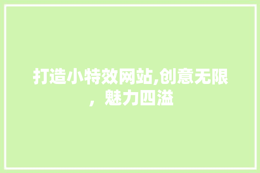 打造小特效网站,创意无限，魅力四溢 打造小特效网站,创意无限，魅力四溢 百度SEO