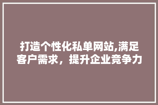 打造个性化私单网站,满足客户需求，提升企业竞争力