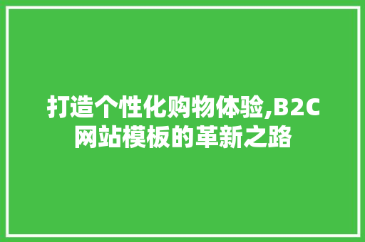 打造个性化购物体验,B2C网站模板的革新之路