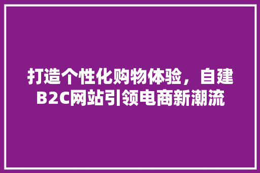 打造个性化购物体验，自建B2C网站引领电商新潮流 打造个性化购物体验，自建B2C网站引领电商新潮流 百度SEO