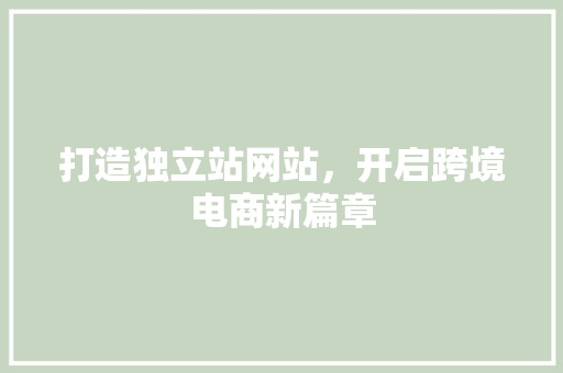 打造独立站网站，开启跨境电商新篇章