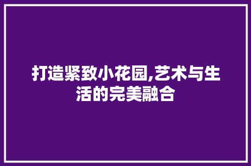 打造紧致小花园,艺术与生活的完美融合