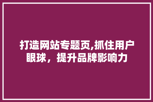 打造网站专题页,抓住用户眼球，提升品牌影响力