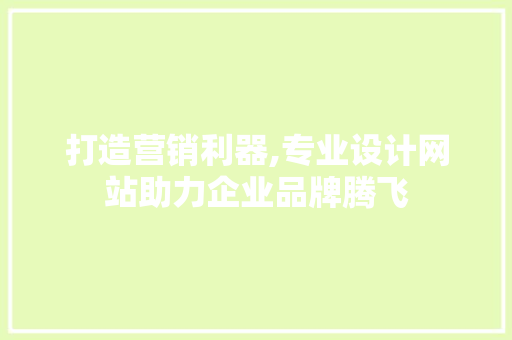 打造营销利器,专业设计网站助力企业品牌腾飞