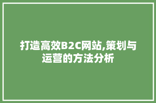 打造高效B2C网站,策划与运营的方法分析