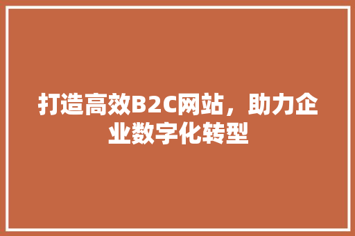 打造高效B2C网站，助力企业数字化转型
