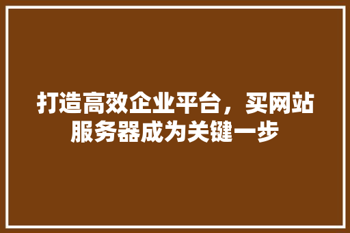 打造高效企业平台，买网站服务器成为关键一步