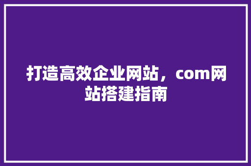 打造高效企业网站，com网站搭建指南