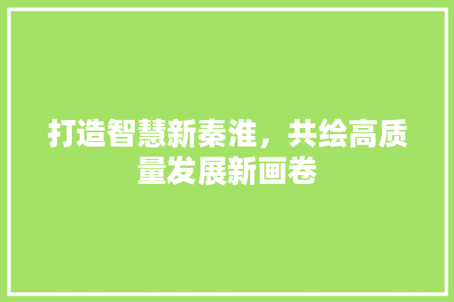 打造智慧新秦淮，共绘高质量发展新画卷