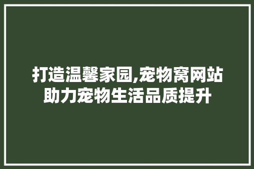 打造温馨家园,宠物窝网站助力宠物生活品质提升