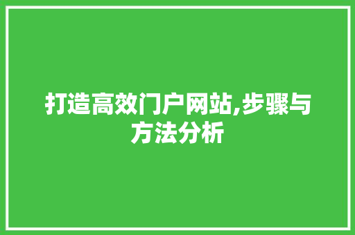打造高效门户网站,步骤与方法分析