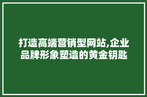 打造高端营销型网站,企业品牌形象塑造的黄金钥匙 打造高端营销型网站,企业品牌形象塑造的黄金钥匙 百度SEO