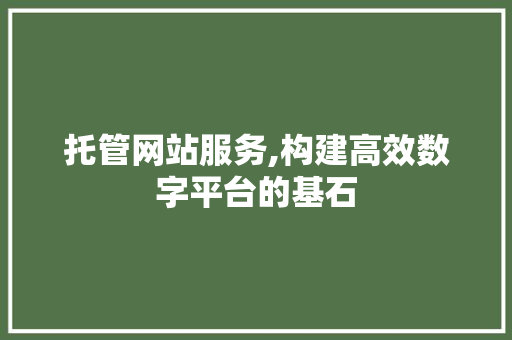 托管网站服务,构建高效数字平台的基石 托管网站服务,构建高效数字平台的基石 百度SEO