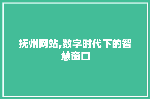 抚州网站,数字时代下的智慧窗口 抚州网站,数字时代下的智慧窗口 网站建设公司